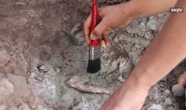 Çin’de 280 milyon yıllık nişasta fosili bulundu