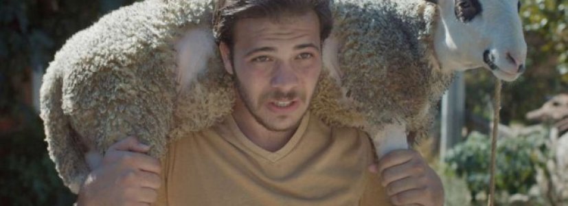 Tarık Aktaş ‘Dead Horse Nebula’ Filmiyle Locarno’da Ödül Kazandı